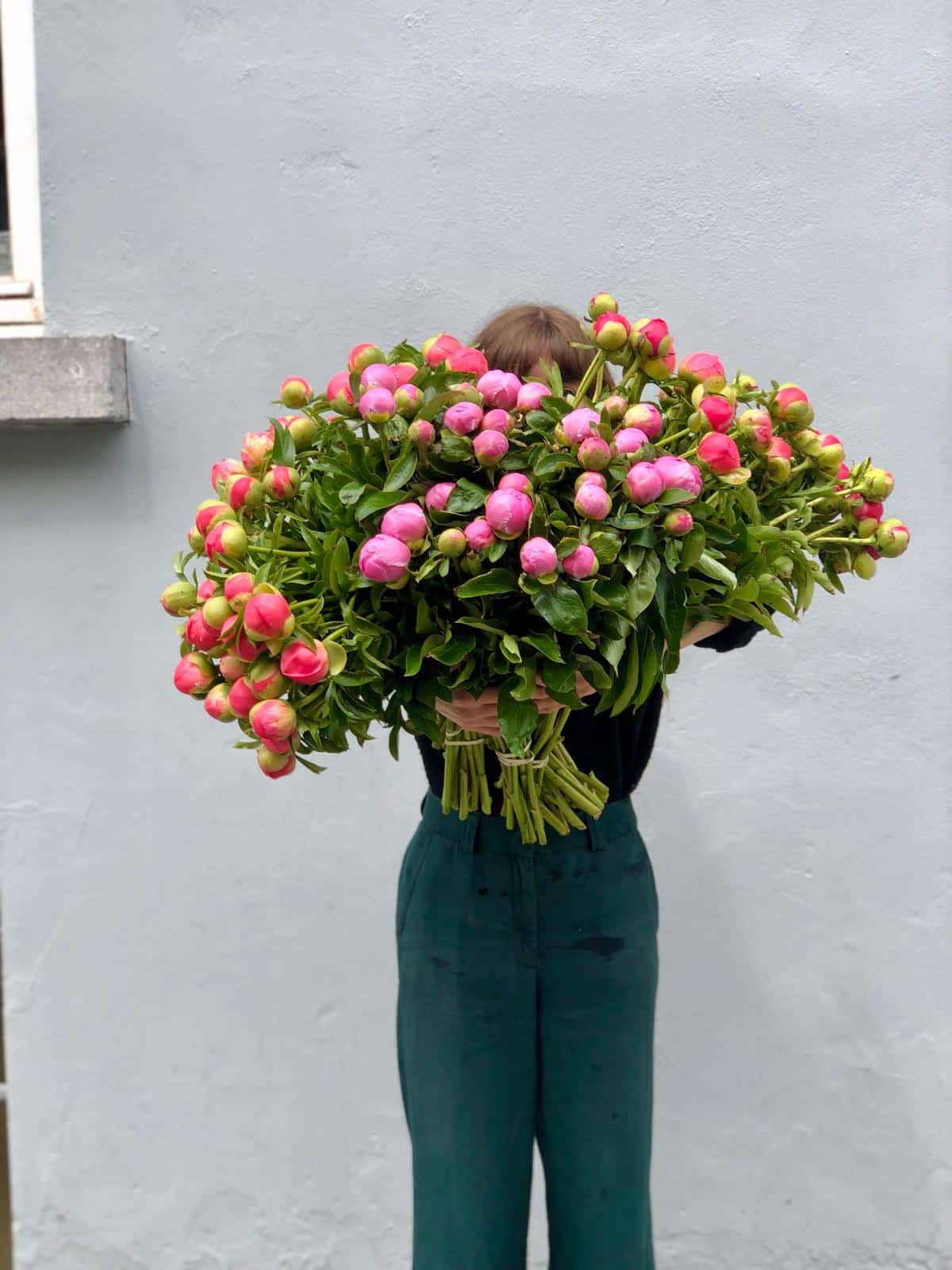 pioenen