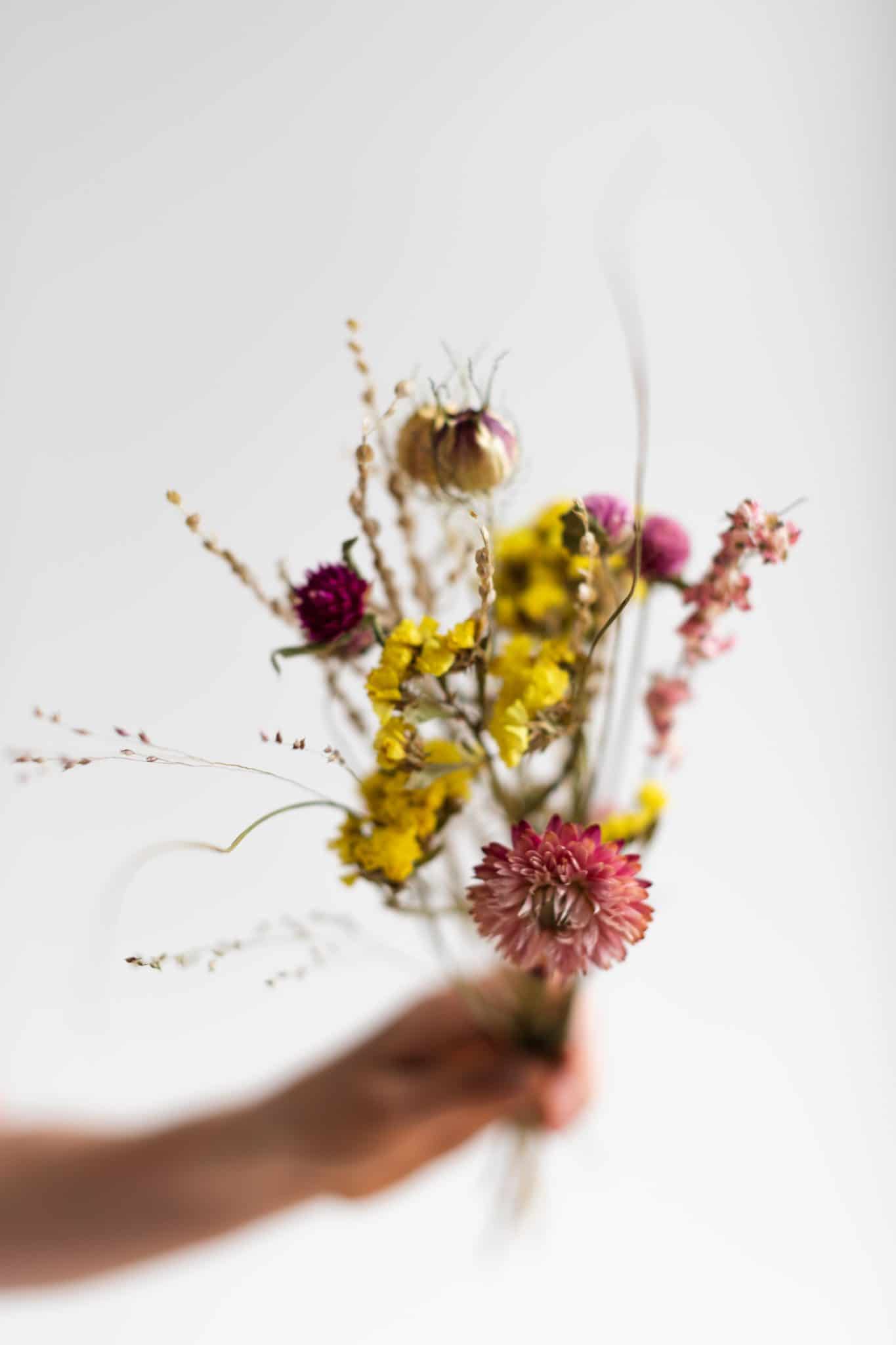 blommm(c)lienvandeneynde-053