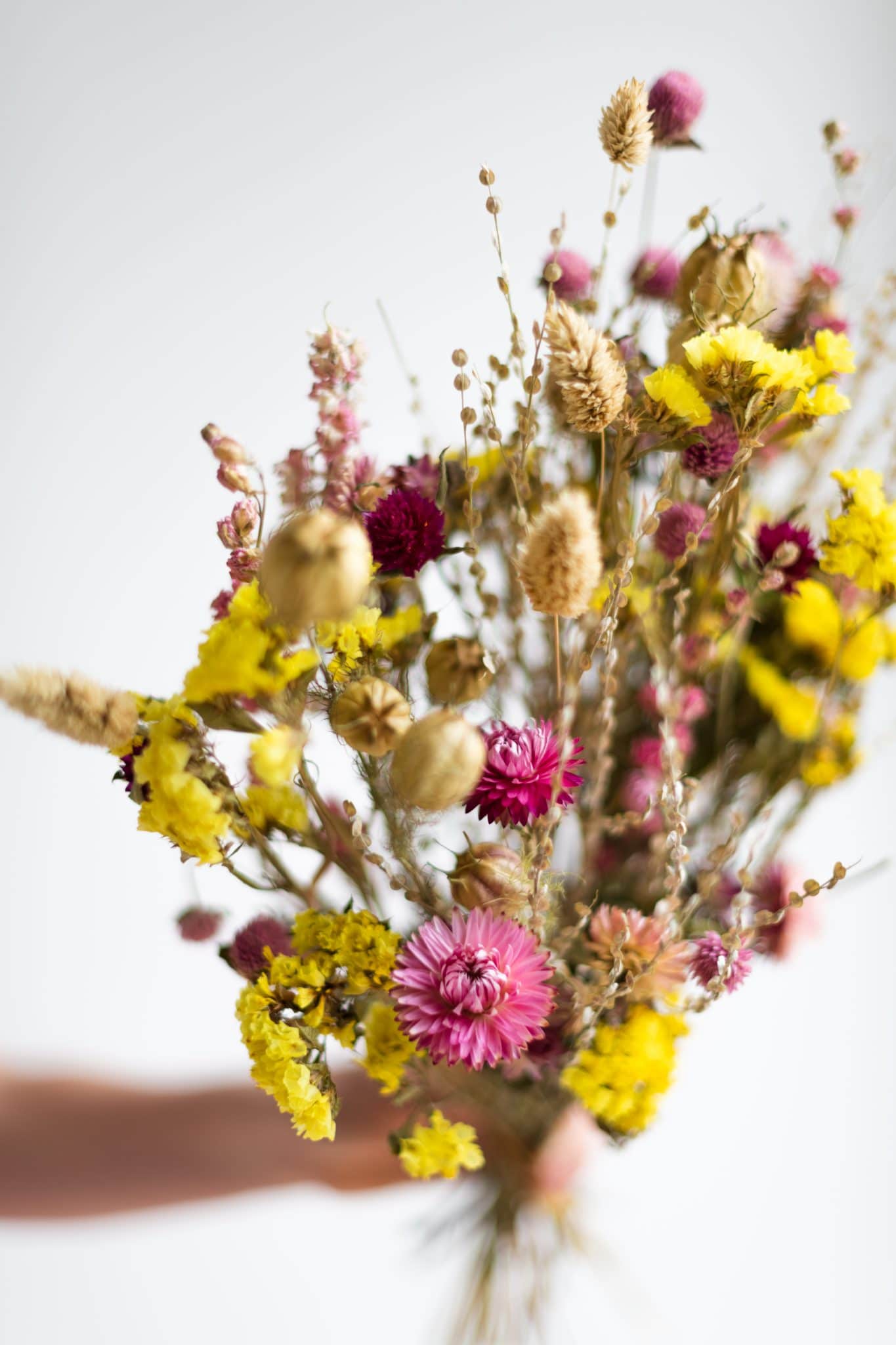 blommm(c)lienvandeneynde-063