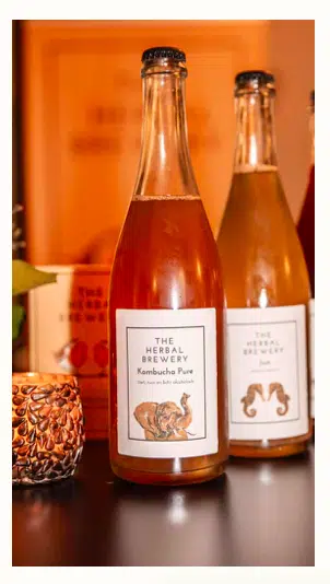 kombucha