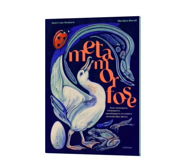 Metamorfose I Geert-Jan Roebers en Merlijne Marell