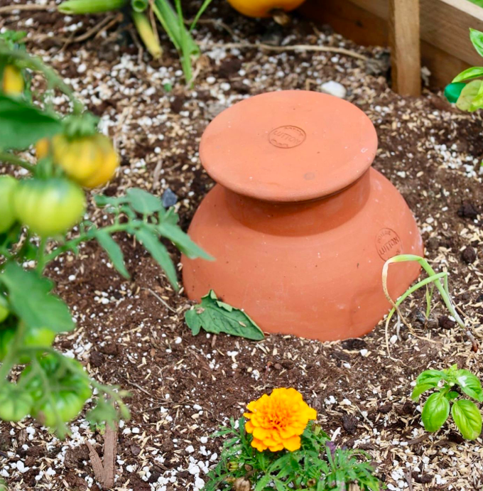 olla Lutton 2,5 l olla in terracotta met deksel in de aarde bij plantjes