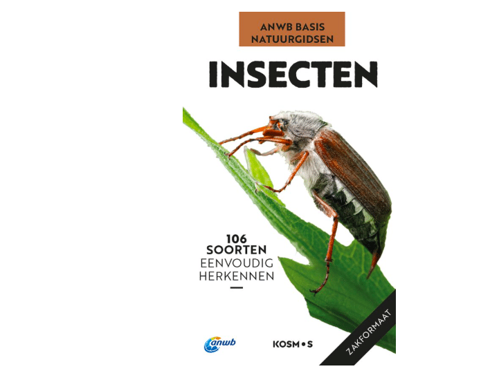 Basis Natuurgids - Insecten 106 soorten eenvoudig herkennen