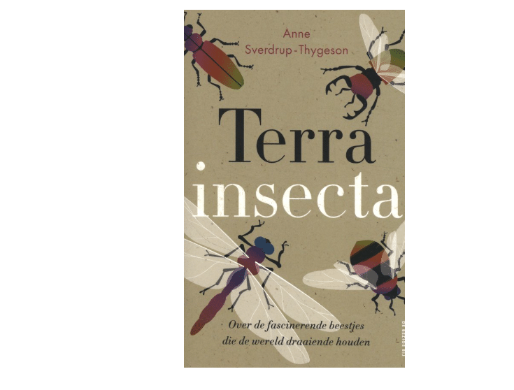 Terra insecta