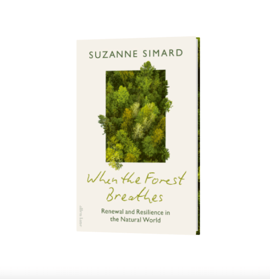 When the Forest Breathes Renewal and Resilience in the Natural World